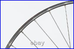CAMPAGNOLO SUPER RECORD OMEGA VINTAGE WHEELSET TUBULAR WHEELS ROAD RACING 32h