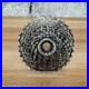 Campagnolo_Super_Record_WRL_13_13_Speed_10_33t_Bike_Cassette_Typical_Wear_243g_01_jqpt