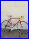 RAULER_Vintage_Italian_Steel_Road_Bike_COLUMBUS_Campagnolo_Equipped_01_sw